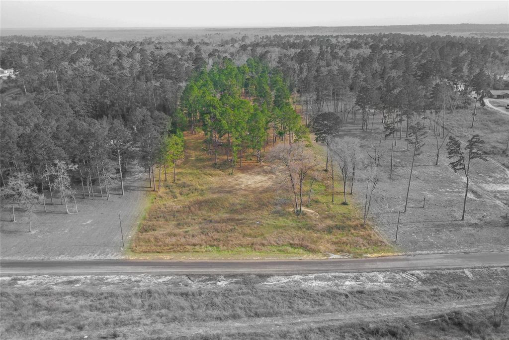 Wooded Acreage Lot